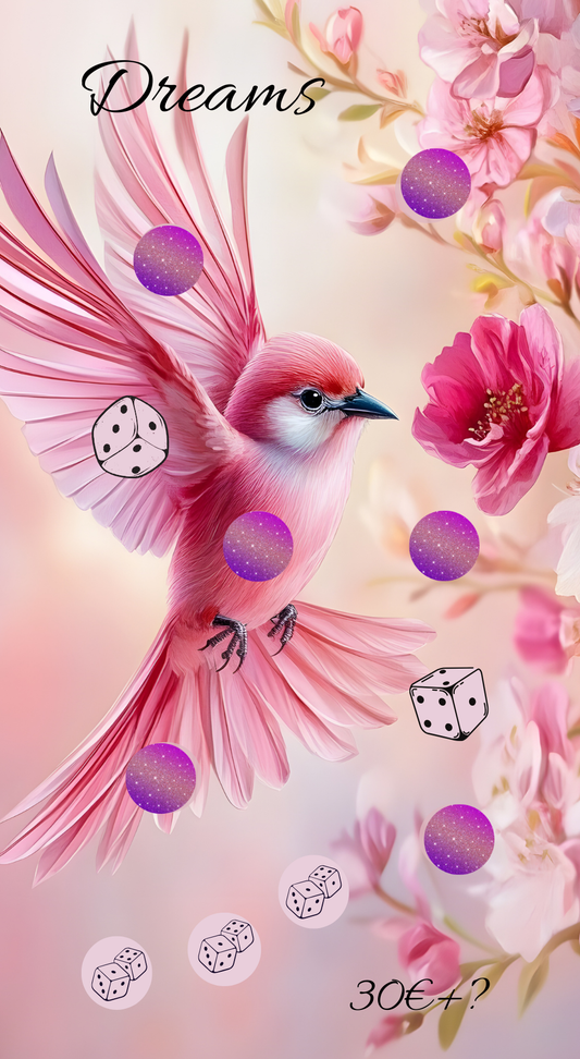 A6  Dreams Kolibri Einzelchallnge