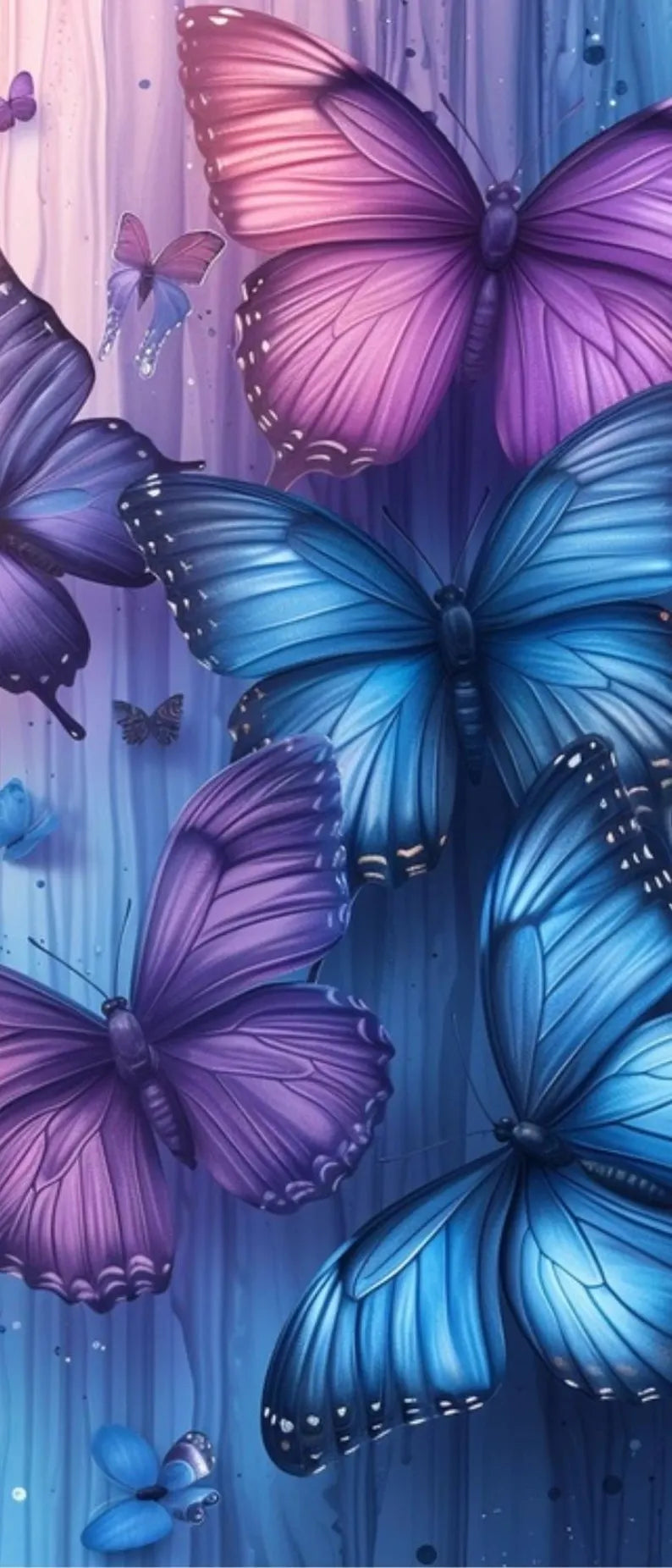 Violett Dreams Register A7