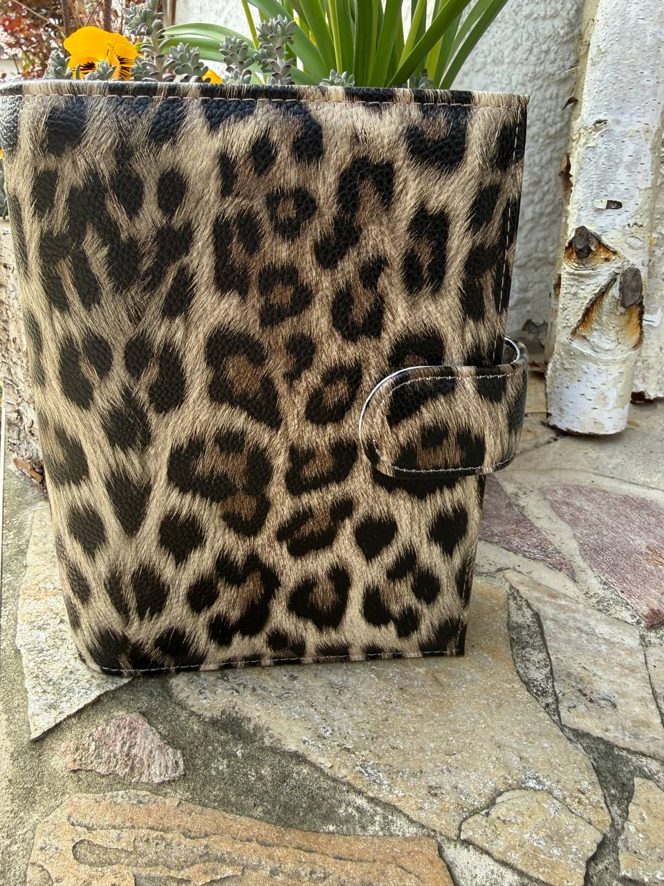 Binder Leonardo + leo Paket
